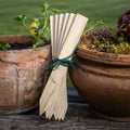 Nutscene Wooden Plant Labels with Pencil (7716846764225)