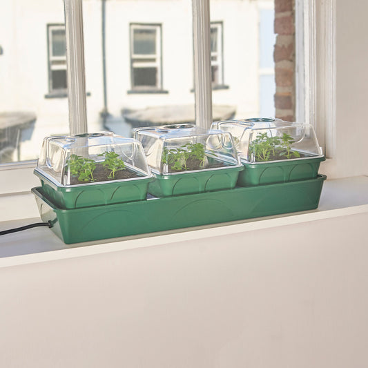 EarlyGrow 3-Bay Heated Propagator (755118604348)