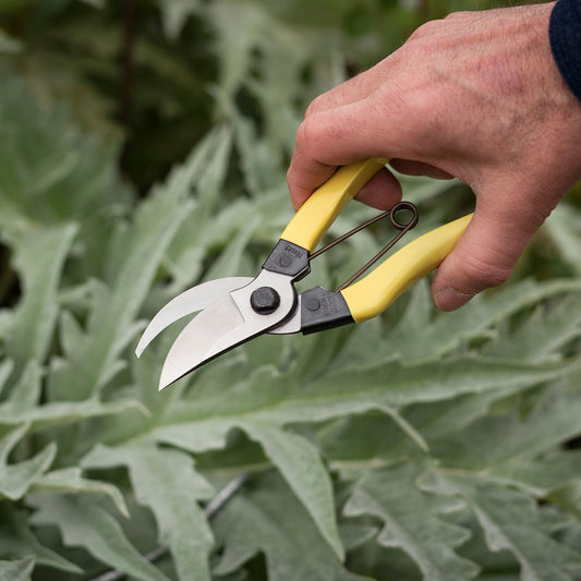 Niwaki Mainichi Secateurs (7412499742913)