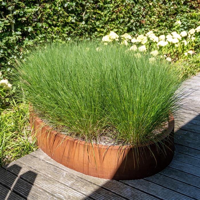 Adezz Corten Steel Elipse Planter (7568511860929)