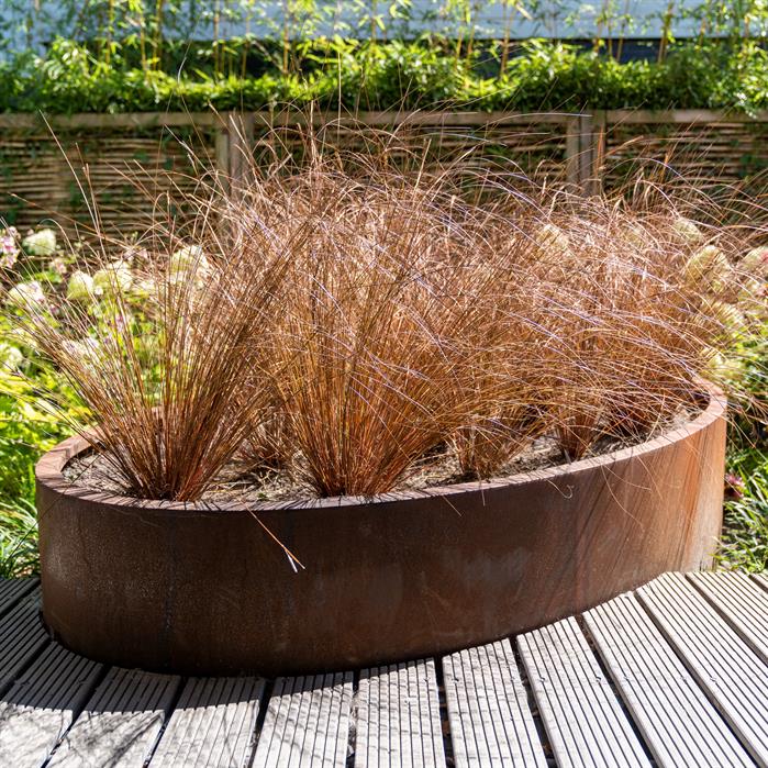 Adezz Corten Steel Elipse Planter (7568511860929)