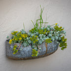 Cardamom Pod Wall Planter Set of Three (7564991332545)