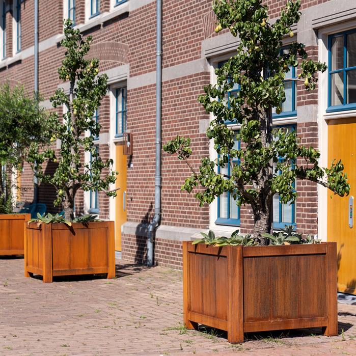Adezz Corten Steel York Planter (7568226877633)