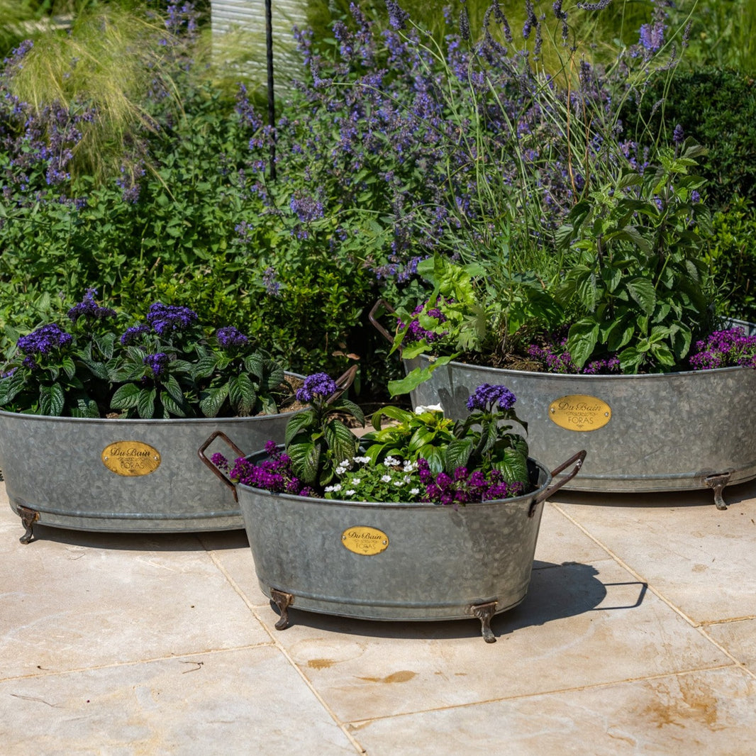 Zinc Galvanised Planters – Urban Grow UK Ltd