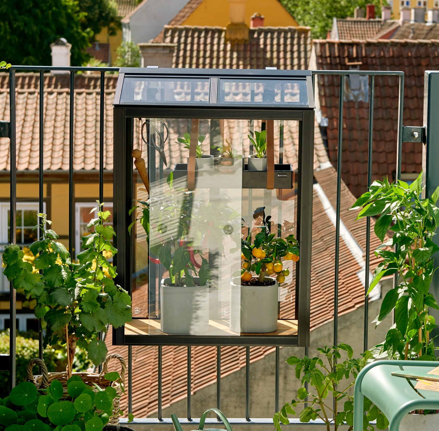 Juliana Balcony Greenhouse - Ideal for small spaces like balconies and urban gardens (3784369242172)