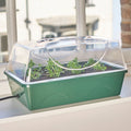 EarlyGrow Heated Medium Propagator (755129516092)