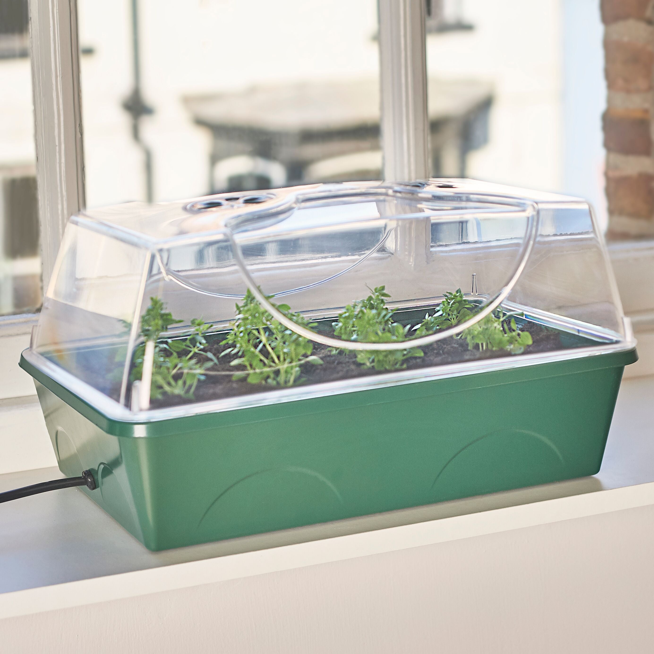 EarlyGrow Heated Medium Propagator (755129516092)