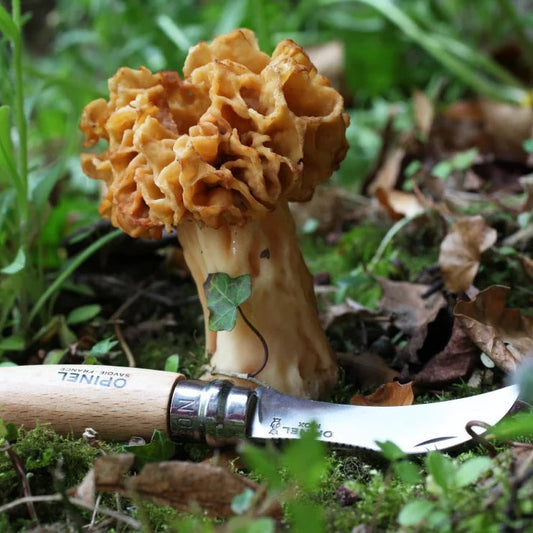 Opinel No.8 Mushroom Knife