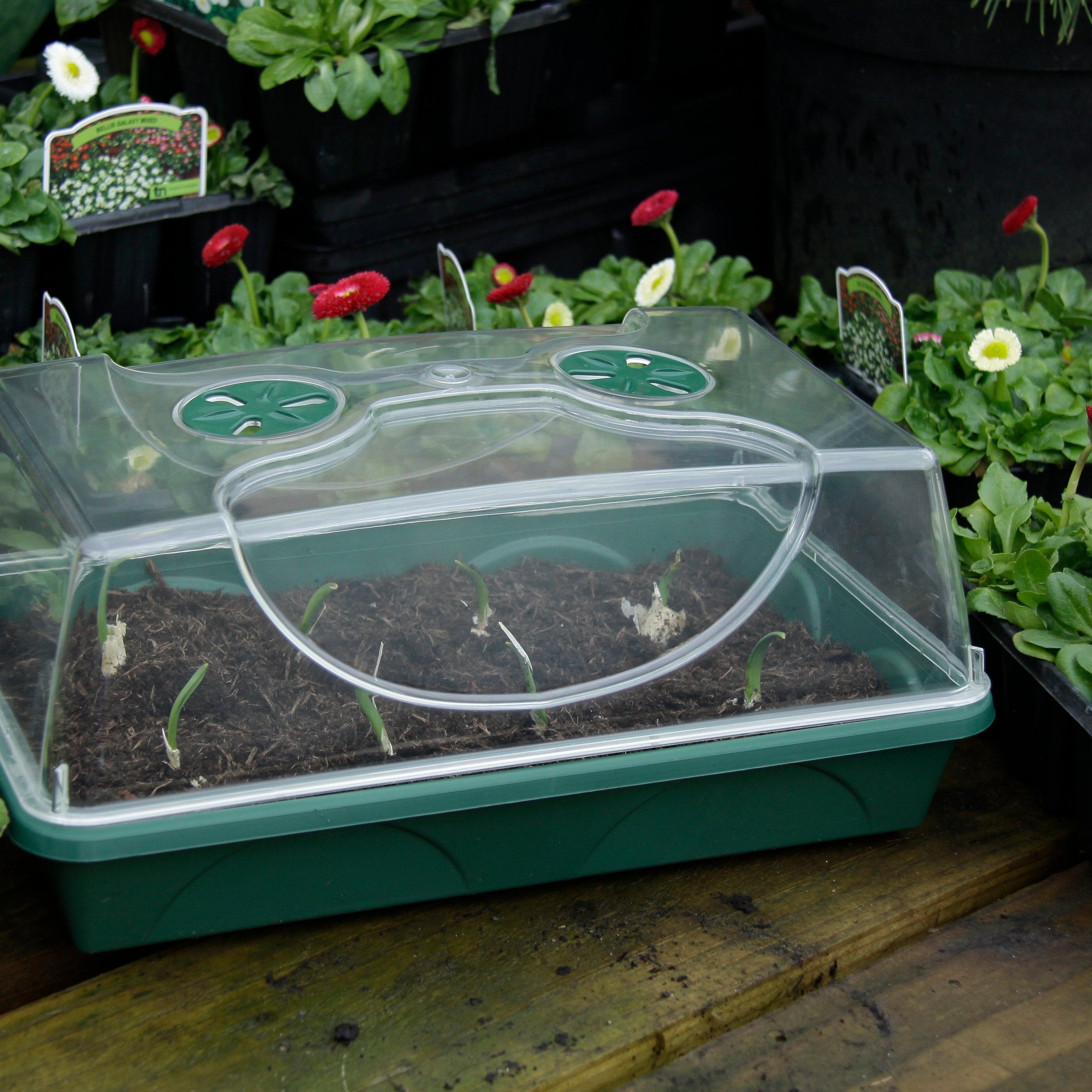 EarlyGrow Heated Medium Propagator (755129516092)
