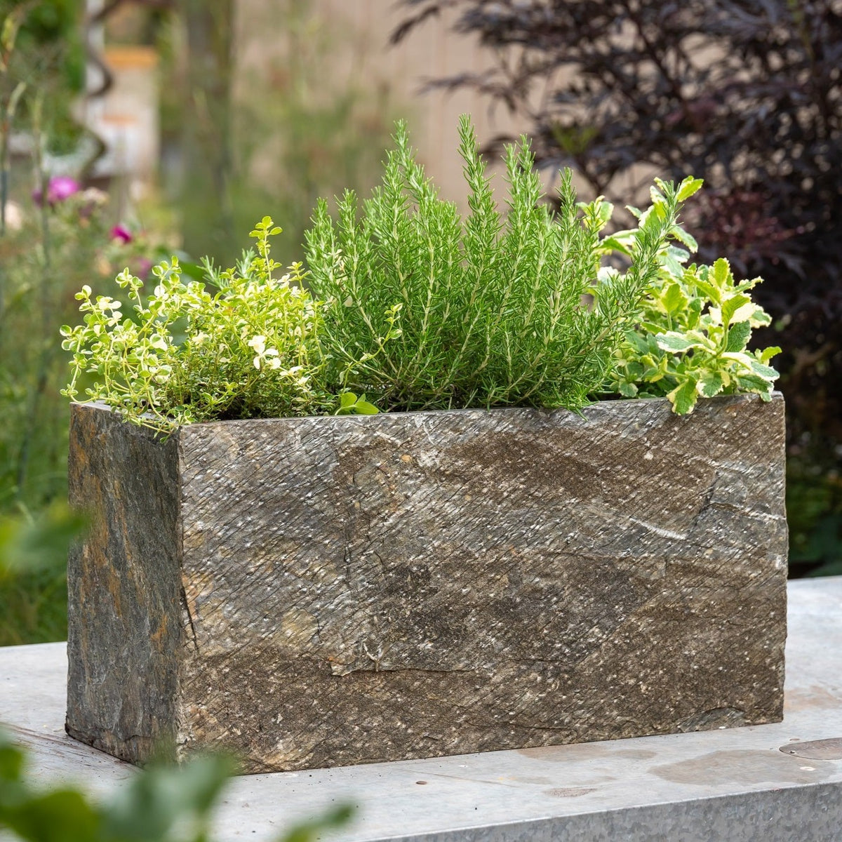 Surmi Slate Trough Planter Pair – Urban Grow UK Ltd