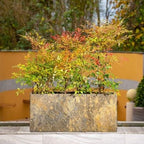Foras Surmi Slate Trough Planter Pair (7565327794369) (15001261965697) (15001292734849) (15001300238721) (15001306956161)