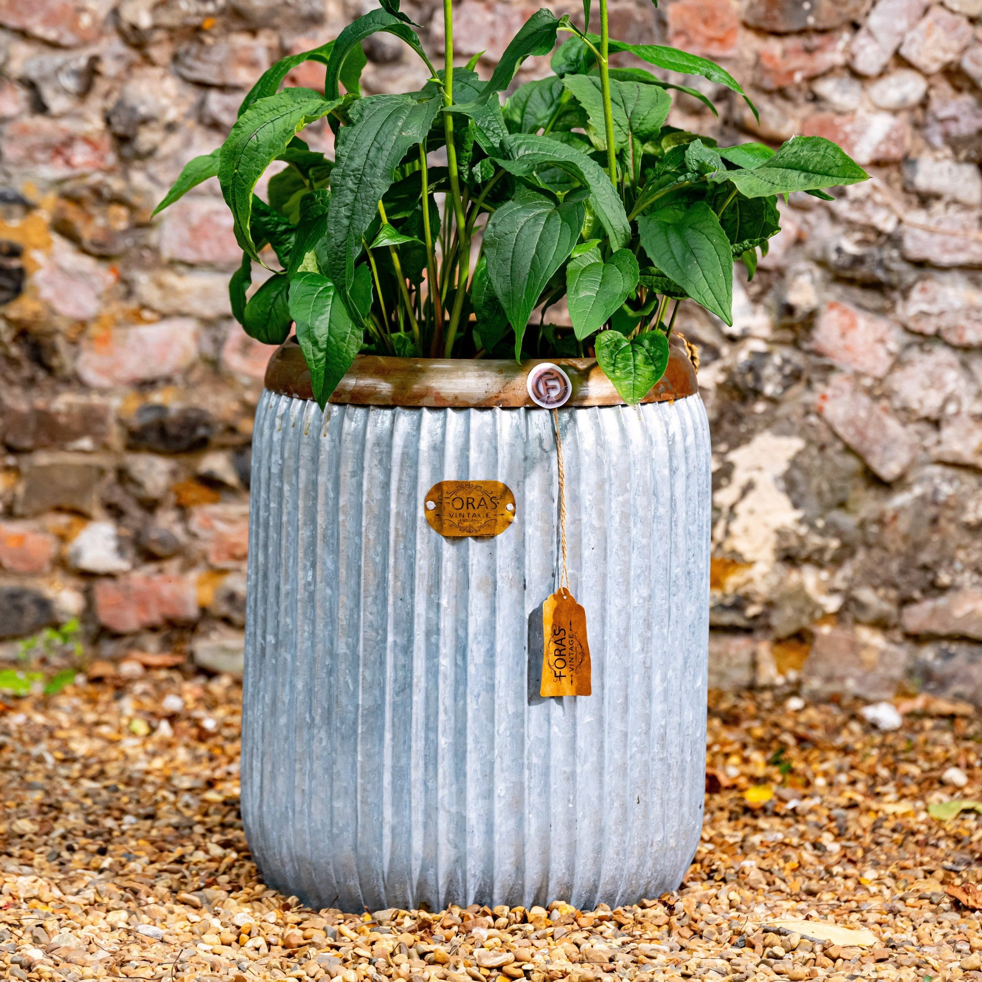 Wootton Tub Planter (7564986810561)