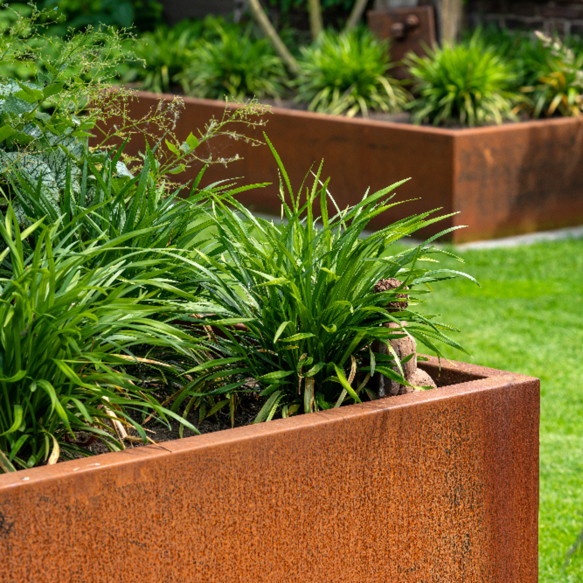 Adezz Corten Steel Cube Carrez Planter | Urban Grow UK – Urban Grow UK Ltd