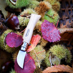 Opinel No.7 Chestnut & Garlic Knife (7599936307393)