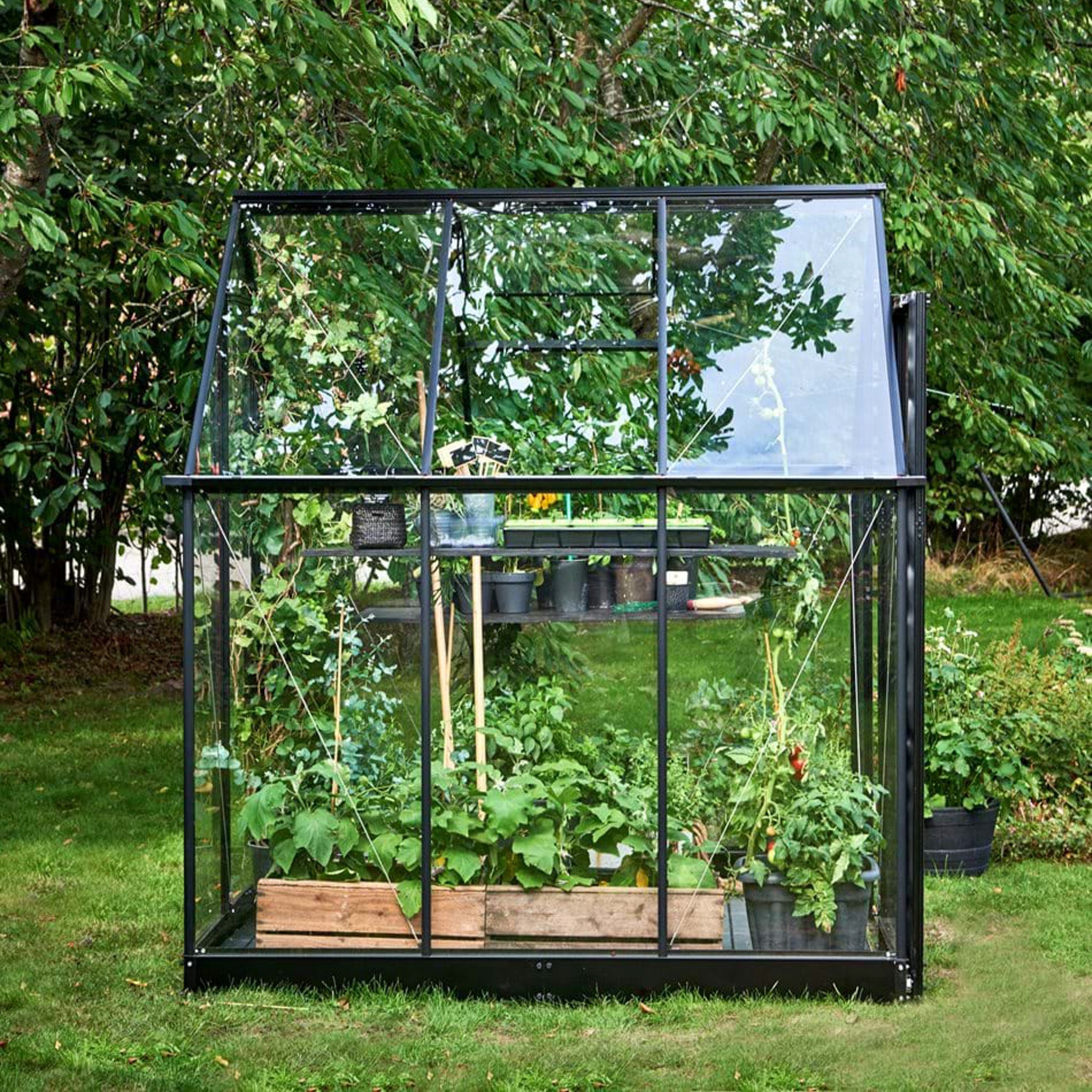 Halls Greenhouse | Greenhouses | Qube Greenhouse (6189169082561)