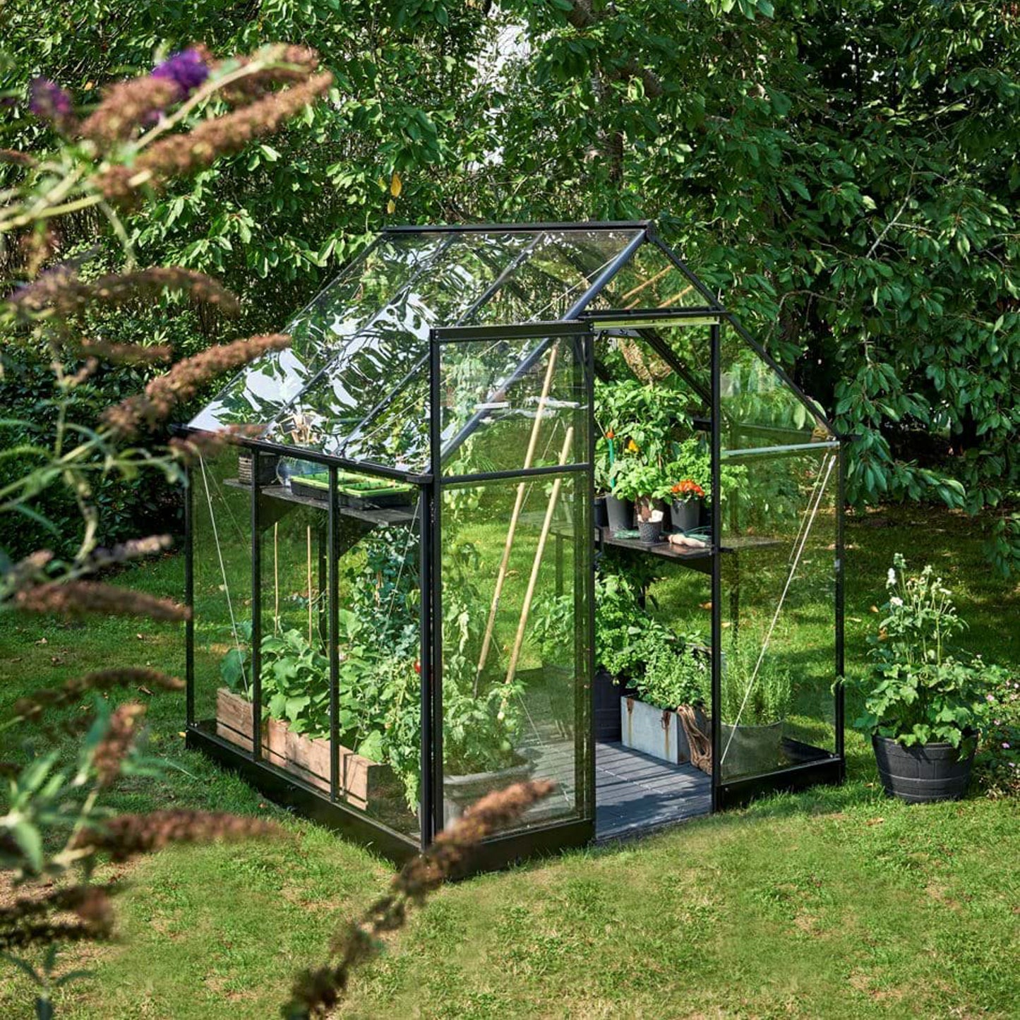 Halls Greenhouse | Greenhouses | Qube Greenhouse
